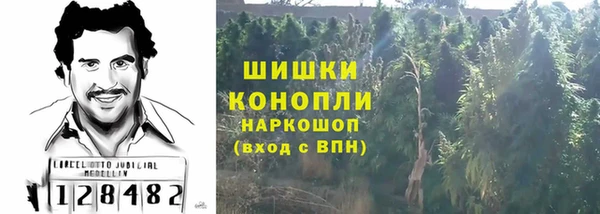 спиды Каменка