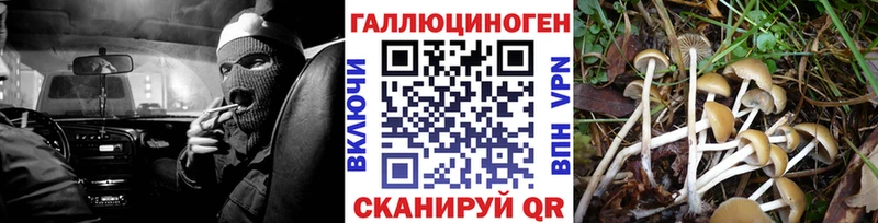 купить закладку  Луховицы  Псилоцибиновые грибы Magic Shrooms 