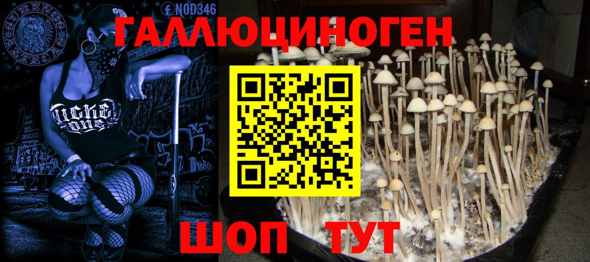 Галлюциногенные грибы мухоморы Луховицы