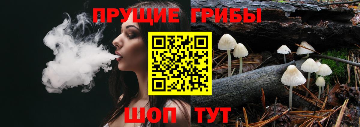 Луховицы  Галлюциногенные грибы мухоморы  Вход с VPN 